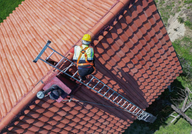 Best Roof Moss and Algae Removal  in Channel Lake, IL